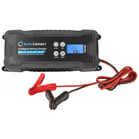 Caricabatterie intelligente da 25 A, 12 V/24 V/6 V Auto-Connect
