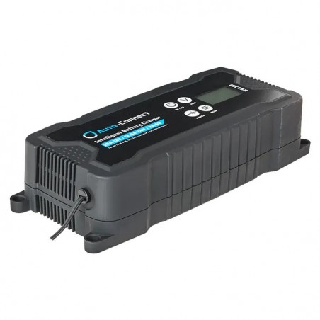 Caricabatterie intelligente da 25 A, 12 V/24 V/6 V Auto-Connect