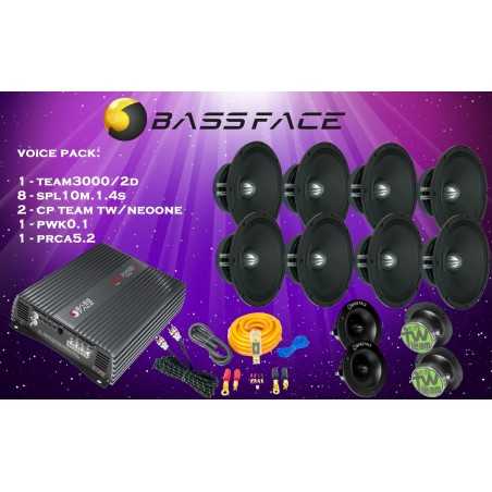 Bass Face Voice Pack 25 - Amplificatore 2 Canali 3000 Watt rms + 8 MidWoofer da 25 cm  + 4 Tweeter