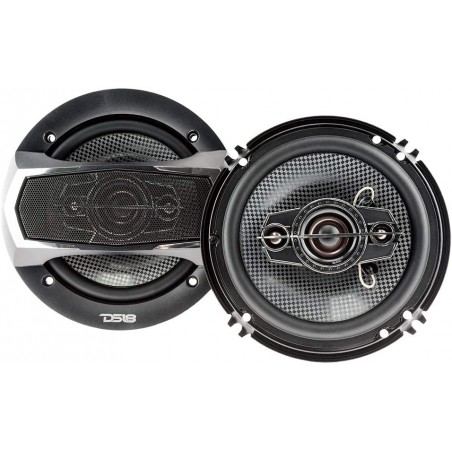 DS18 Coppia Altoparlanti  4 vie 16 cm a predisposizione 165mm