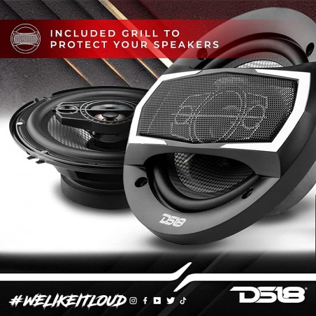 DS18 Coppia Altoparlanti  4 vie 16 cm a predisposizione 165mm