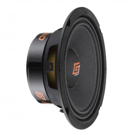 GT AUDIO GT-MR6/4 By Bass FACE COPPIA Mid Woofer 16 cm 160 Watt