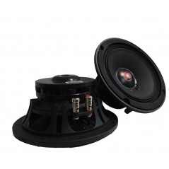 ProAudio C166 COPPIA Altoparlanti 165mm Serie Concerto Neodimio MidWoofer Da 16cm 300 Watt Rms
