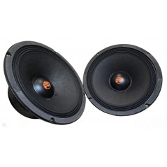 ProAudio M250 Altoparlante Serie Master MidWoofer Da 25cm 400 Watt Rms