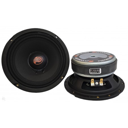 ProAudio R165 COPPIA Altoparlanti Serie Rodeo MidWoofer Da 16cm 150 Watt Rms