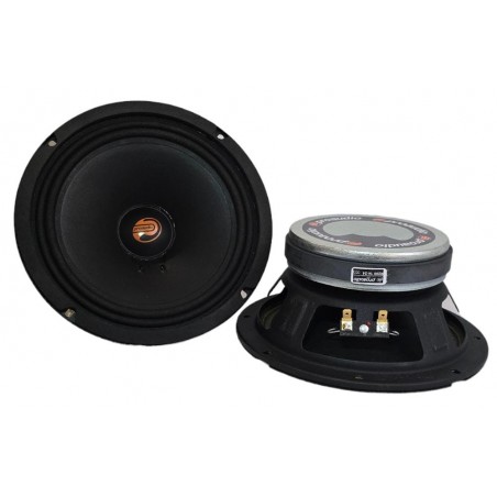 ProAudio R200 COPPIA Altoparlanti Serie Rodeo MidWoofer Da 20cm 200 Watt Rms