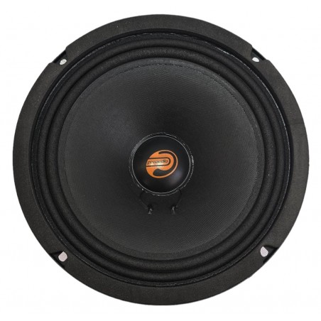 ProAudio R200 COPPIA Altoparlanti Serie Rodeo MidWoofer Da 20cm 200 Watt Rms