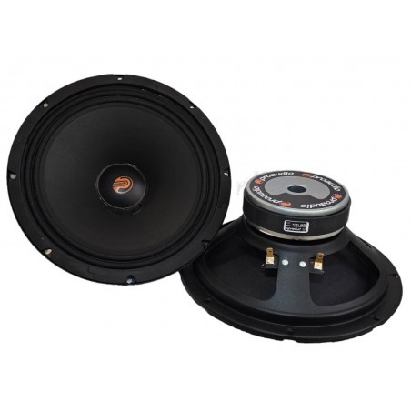 ProAudio R250 COPPIA Altoparlanti Serie Rodeo MidWoofer Da 25cm 250 Watt Rms